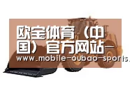 欧宝体育第三系列